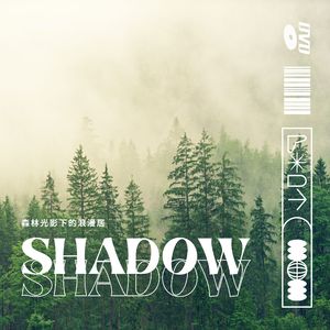 窗前的光影交错 (修心)