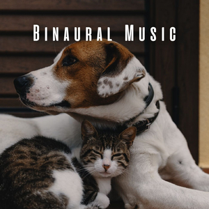 Binaural Animal Anthem