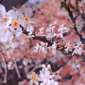 一生还需要拥有一朵花