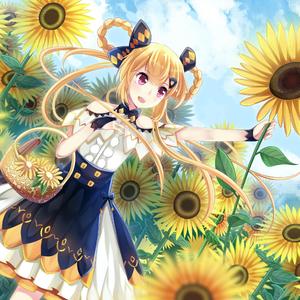 度过了更换的四季