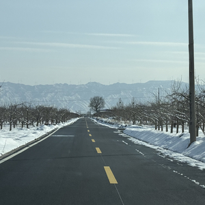 心却偷偷往回走