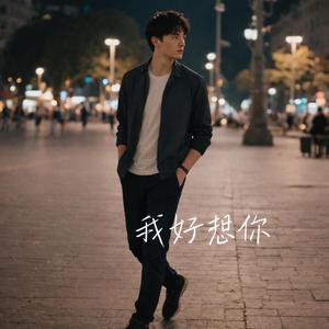 我好想你(RNB版)
