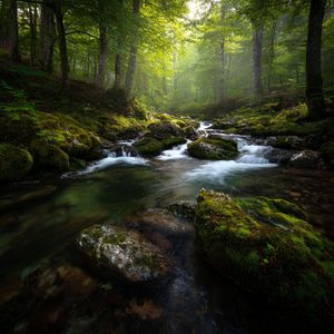 阿尔法脑波音乐催眠·3分钟快速入睡曲