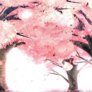 亮闪闪小夜曲（きらきらセレナーデ）