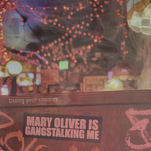 mary oliver is gangstalking me