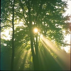 결의의 불꽃 2 Ria