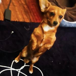 har[v] har[v] har[v]