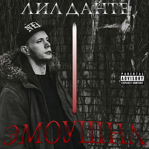 К Антарктике
