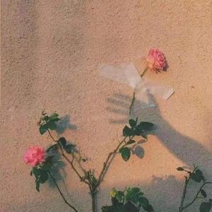 回忆“她”（Prod by Evk-1）