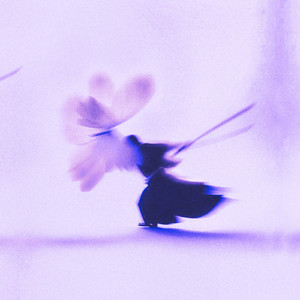 Patient (Orchestral)