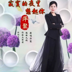 寂寞的夜里想起你