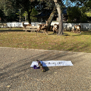 Sarnath Love (ver.001)