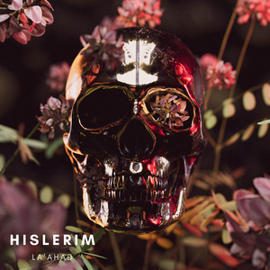 Hislerim