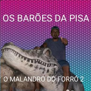 O MALANDRO DO FORRÓ 2