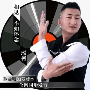 瑶柯-相见不如怀念DJ