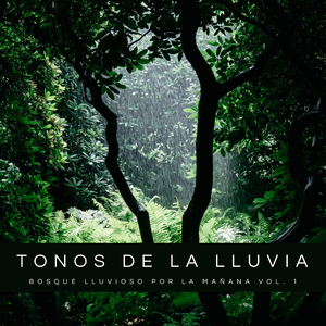 Clima De Lluvia y Viento