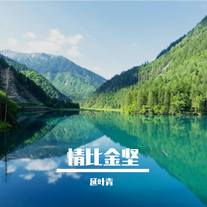 情比金坚纯音乐