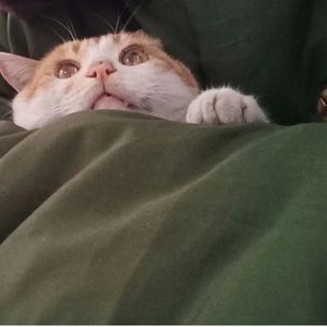 看着我的眼睛说