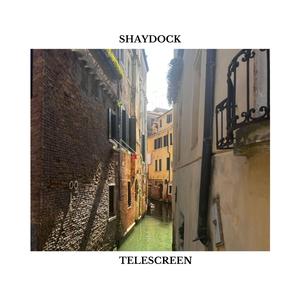 telescreen