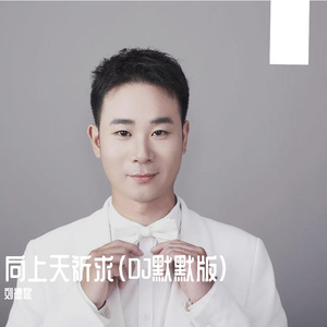 向上天祈求（DJ默默版）