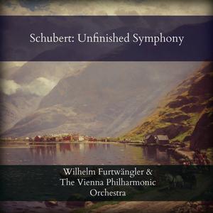 Symphony No. 8 in B Minor, D.759: I. Allegro moderato
