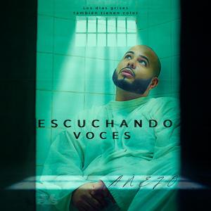 Escuchando voces