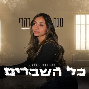 כל השברים