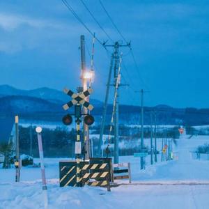 入了我的心丢了我的魂