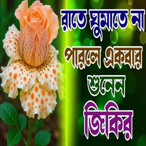 ঘুমানোর আগে একবার শুনেন জিকির Nice zikir