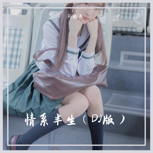 情系半生（DJ版）