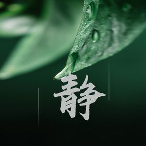 水墨青花（助眠纯音乐）