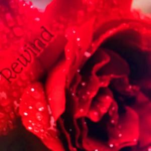 Rewind