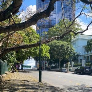 hide (feat. whyhaze)