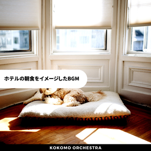 Donuts & Country Roads