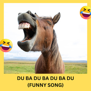 DU BA DU BA DU BA DU (Funny Song) (Remix)