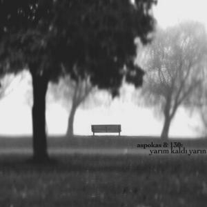 Yarım Kaldı Yarın (feat. 130) (Live)