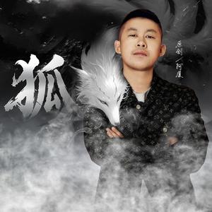 狐 (DJ何友版)