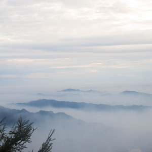 醒着醉（弹唱）