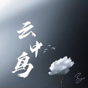 云中鸟