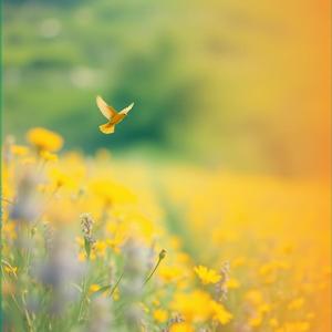 황조가(黃鳥歌)