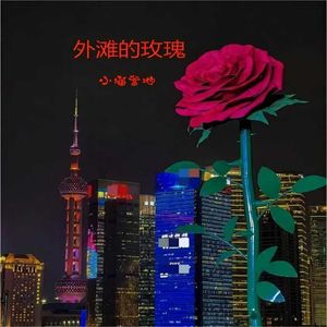 外滩的玫瑰