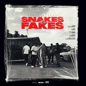 Snakes & Fakes