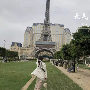 夜空下的月光恋曲