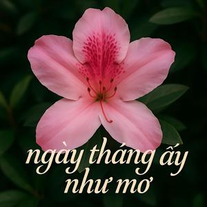 ngày tháng ấy như mơ v13