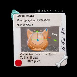 我在公寓养了一只小狗