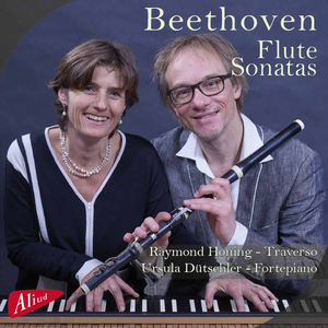 Sonate, Opus 12 No. 1 D-Dur (1797 - 1798, Arr. Louis Drouet): II. Tema Con Variazioni, Andante Con Moto