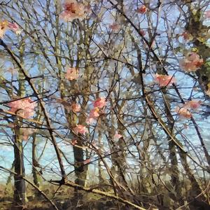 Spontaneous (LABS Soft Piano version)