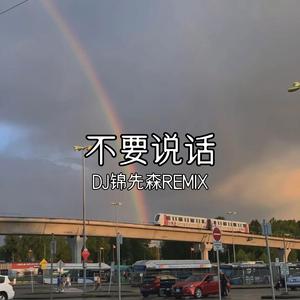 不要说话（DJ锦先森 Remix）