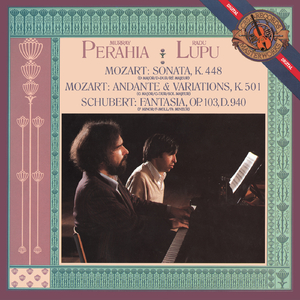 Fantasy in F Minor, K. 608 (Arr. F. Busoni, M. Perahia & R. Lupu for Piano Duo):III. Allegro ritenuto