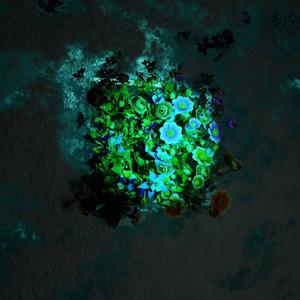 我真的快要碎掉了